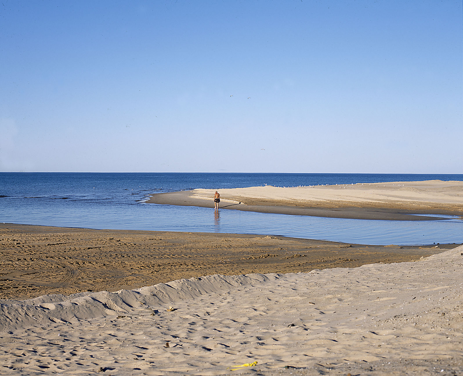 beaches